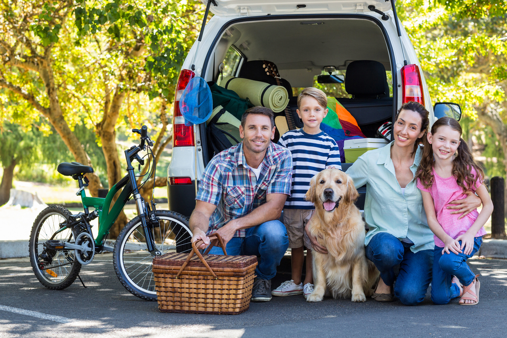 5 Things To Prepare For A Road Trip Sussex Insurance